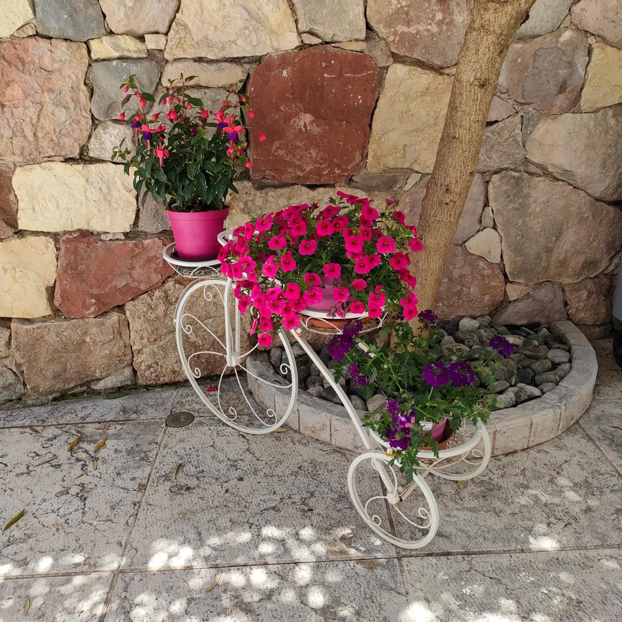 Garda Sweet Apartments Арко Екстериор снимка